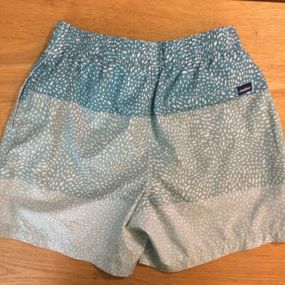 Chubbies swim trunks blue small